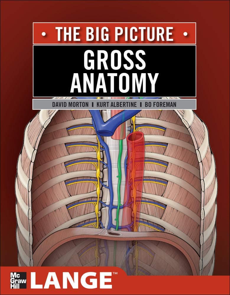 Gross Anatomy: The Big Picture (LANGE The Big Picture) 1st Edition (Paperback) by Morton, David textbook cover
