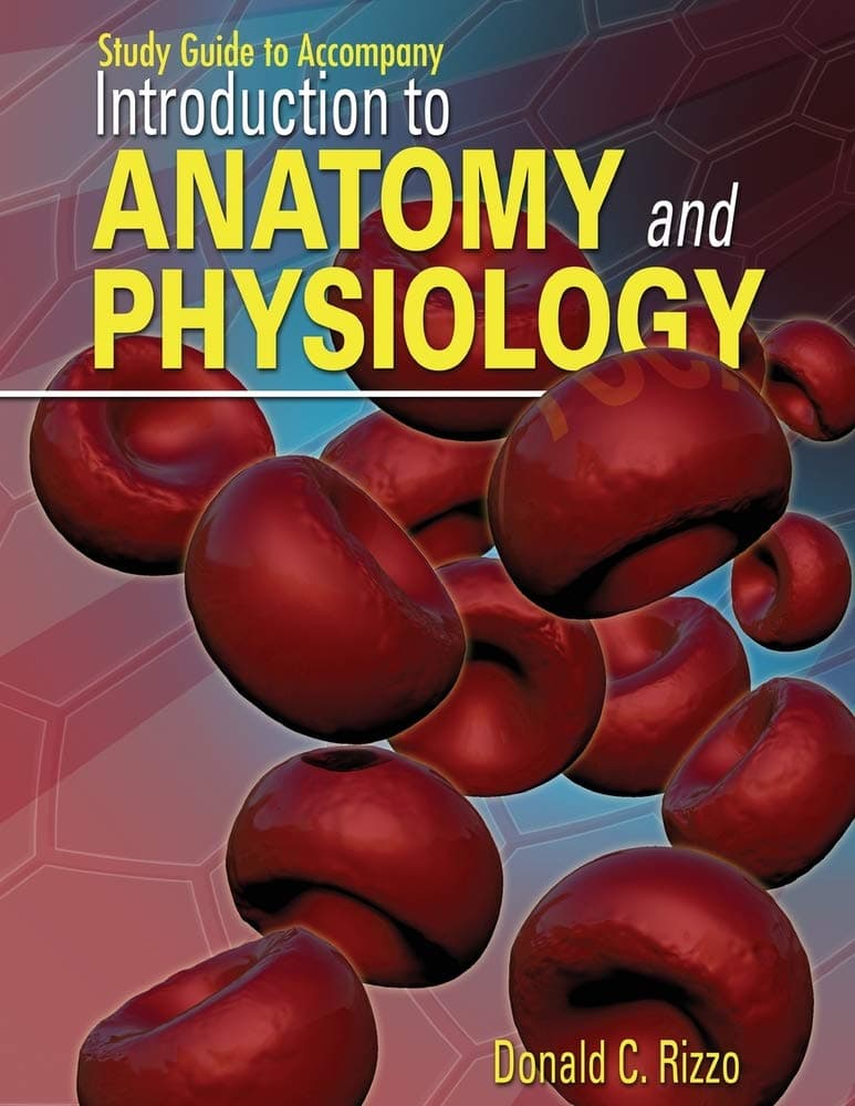 Introduction to Anatomy and Physiology Study Guide (Paperback) by Rizzo, Donald C., Ph.D. textbook cover
