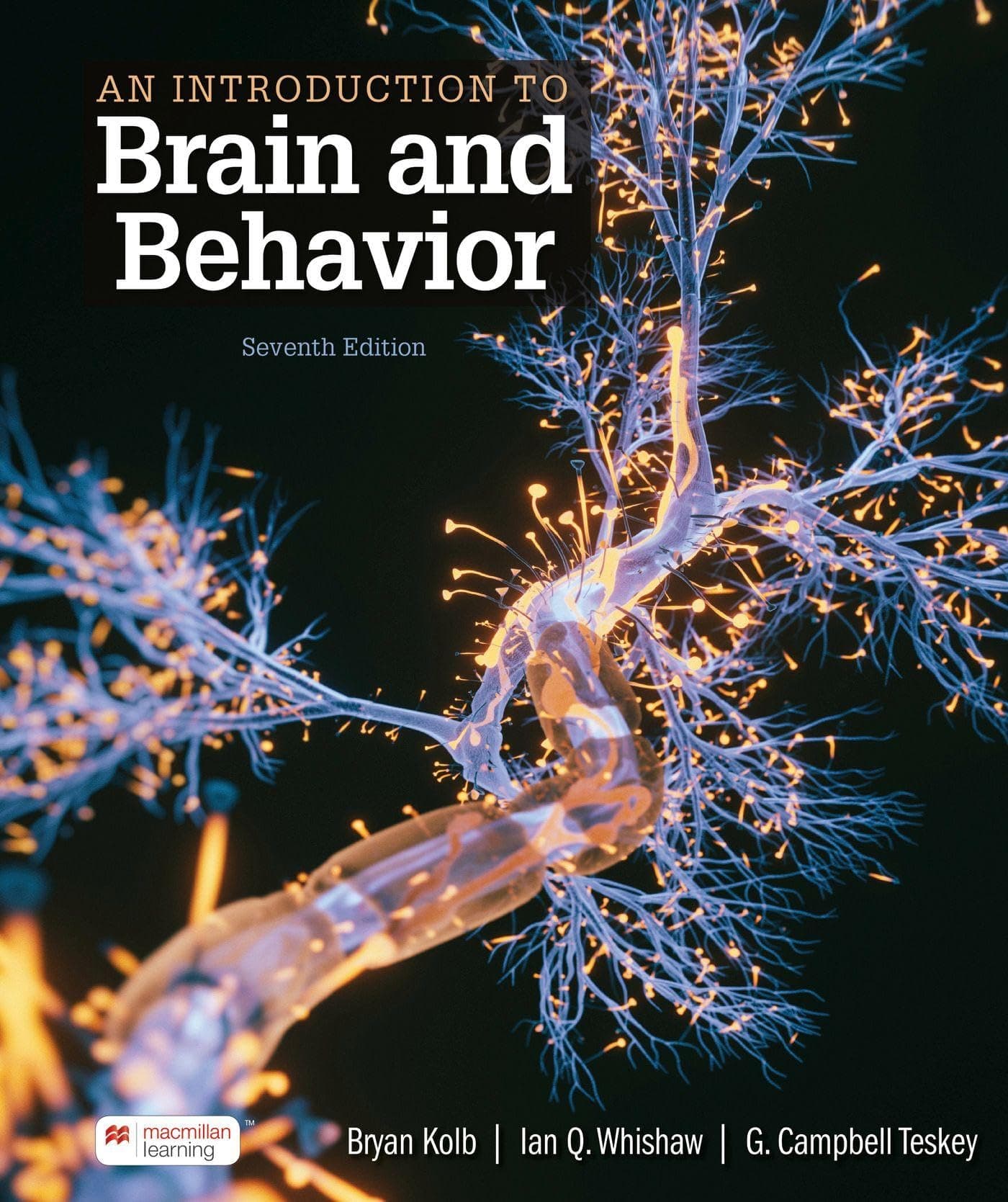 An Introduction to Brain and Behavior (International Edition) (Paperback) by Bryan Kolb textbook cover