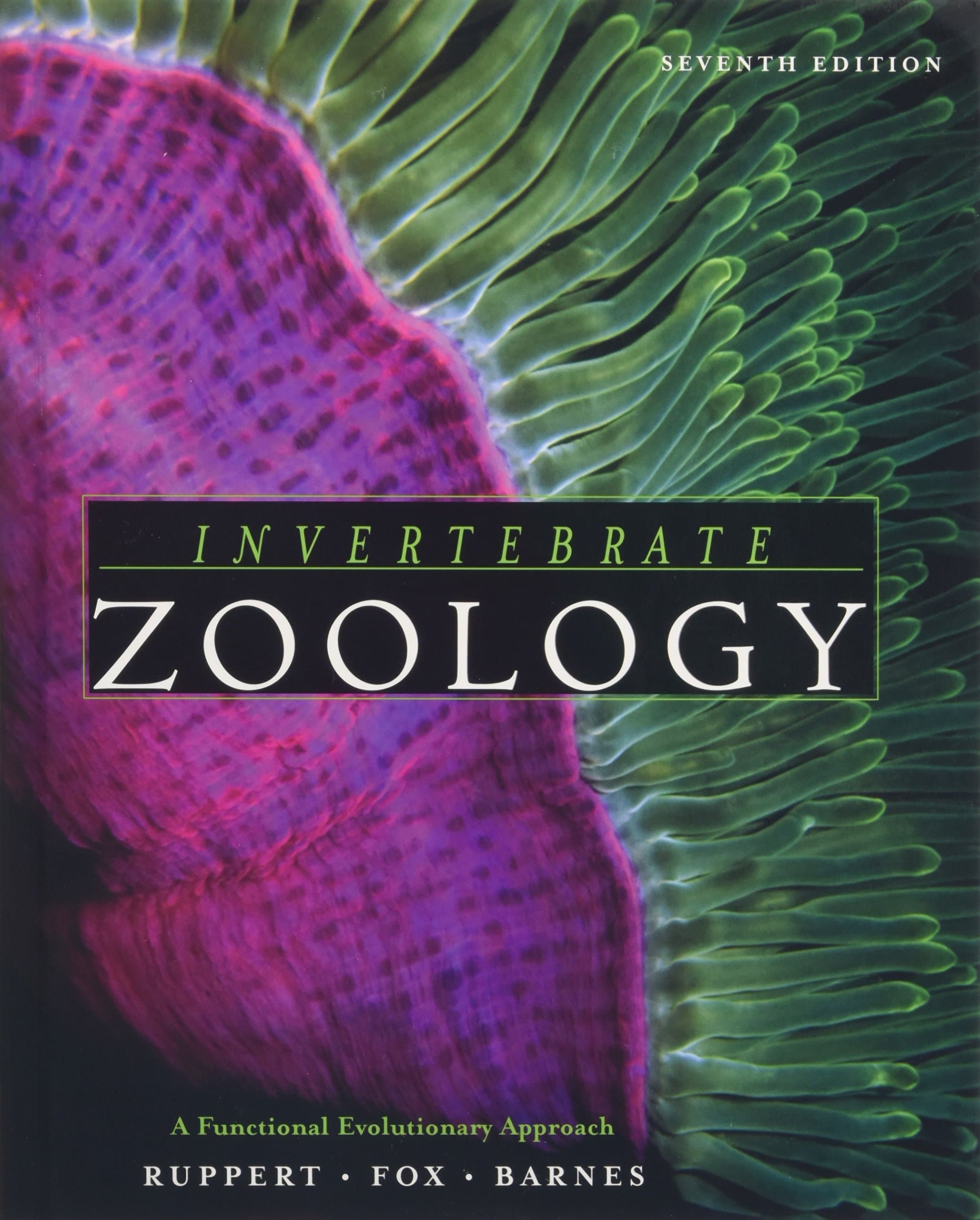 Invertebrate Zoology: A Functional Evolutionary Approach 7th Edition (Hardcover) by Ruppert, Edward E. textbook cover