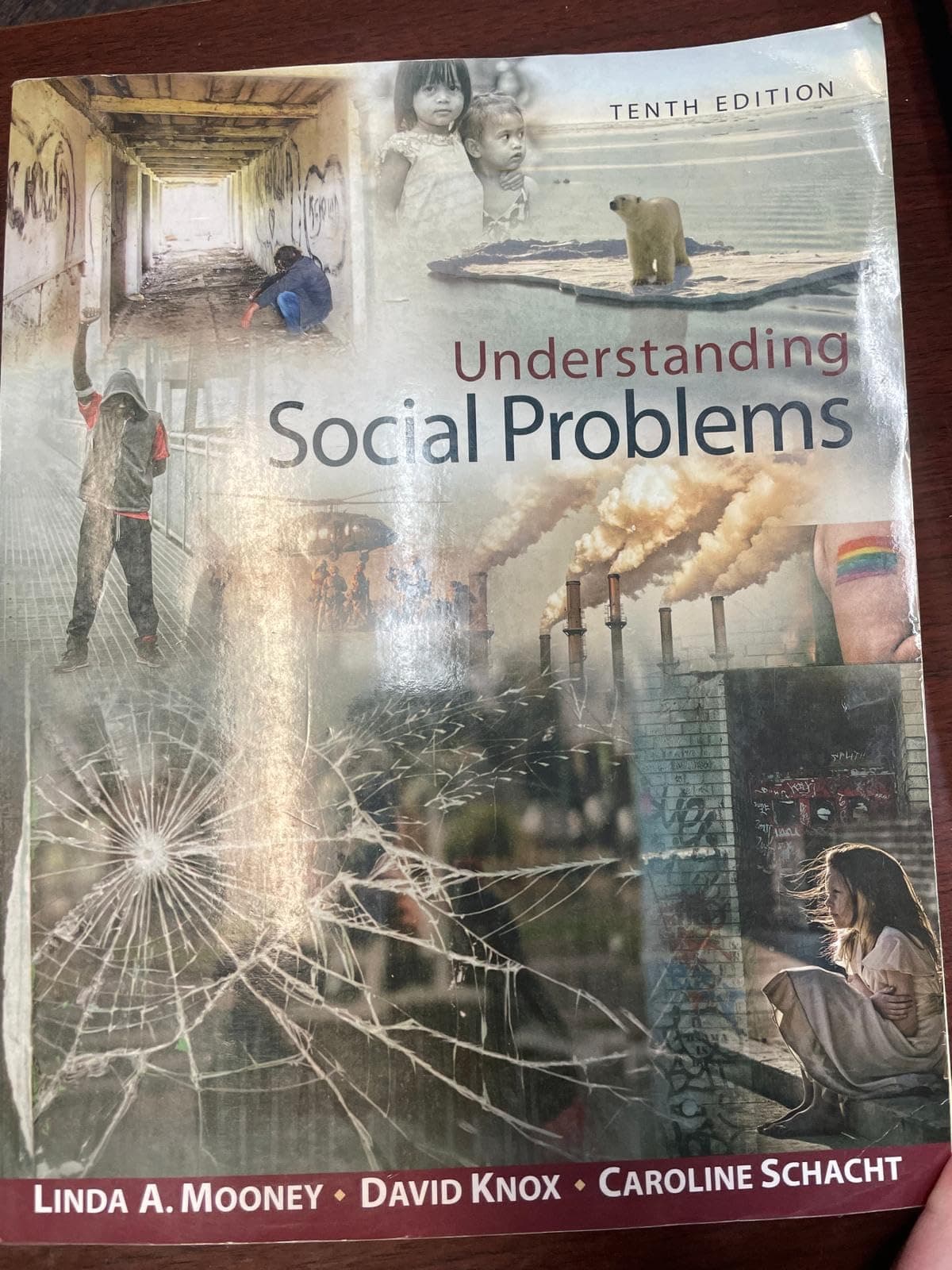 Understanding Social Problems - Standalone Book 10 by Mooney, Linda A. textbook cover
