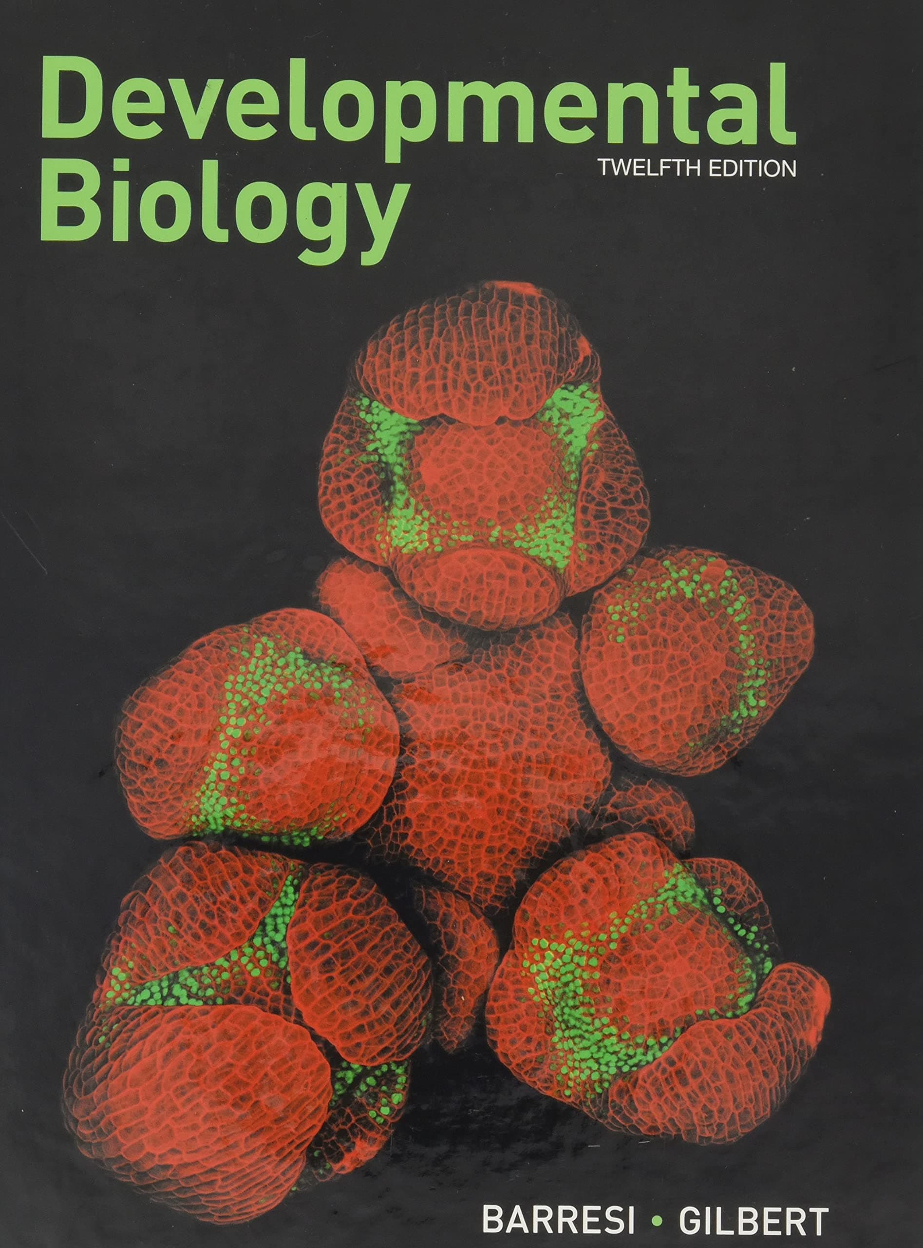Developmental Biology 12 by Barresi, Michael J.F. textbook cover